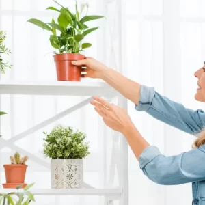 DECORAR CON PLANTAS SIEMPRE SERÁ TENDENCIA